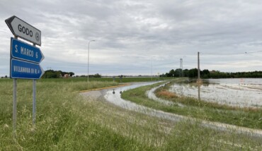 IMG 9752