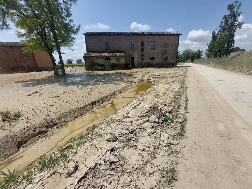 Le campagne di Bagnacavallo dopo l'alluvione