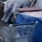 Discarica Abusiva Denuncia Fosso Ghiaia