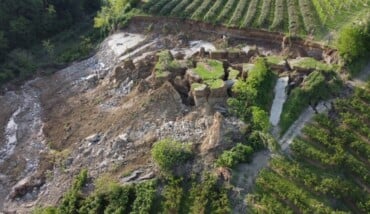 Frane Collina