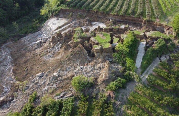 Frane Collina