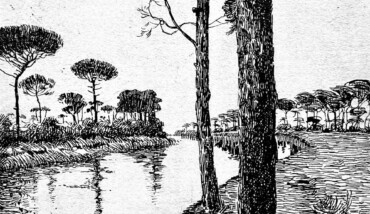 La Pineta Di Dante