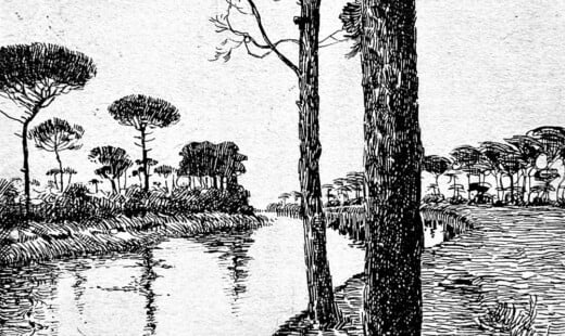 La Pineta Di Dante
