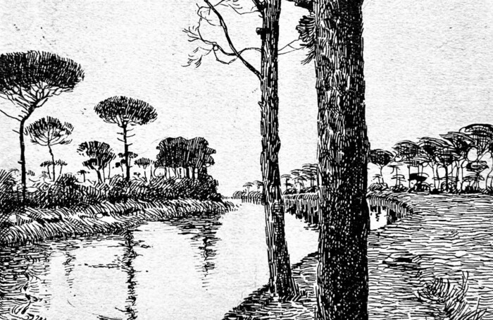 La Pineta Di Dante