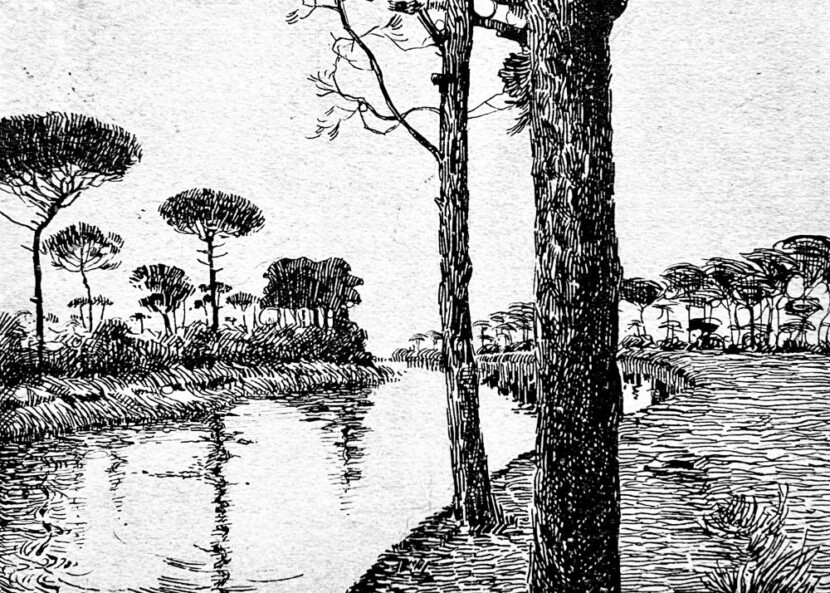 La Pineta Di Dante