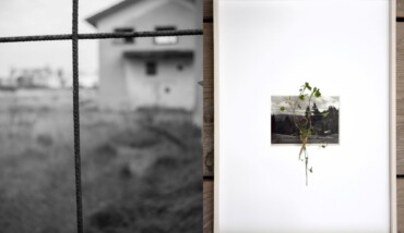 Mostra Piovaccari