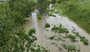 Torrente Bevano