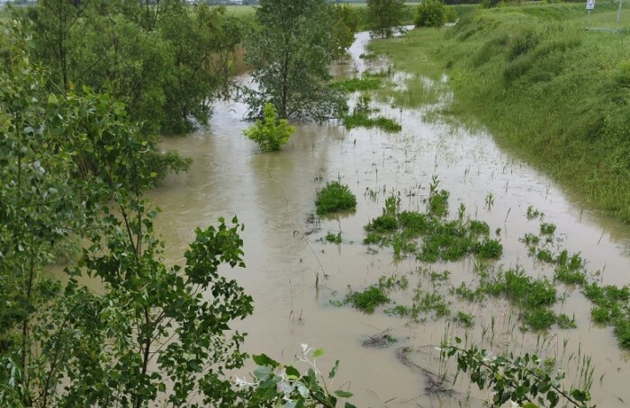 Torrente Bevano