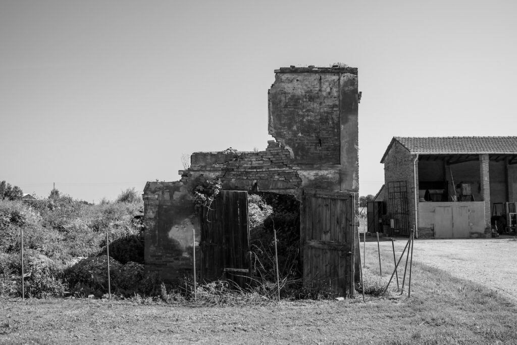 E' già troppo tardi (Country death songs)