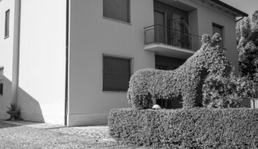 Bassa Romagna mani di forbice