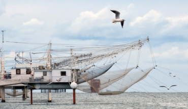 Capanni Da Pesca Mostra