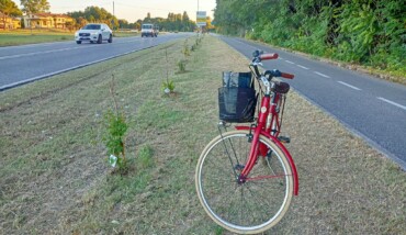 Ciclabile Arbusti 