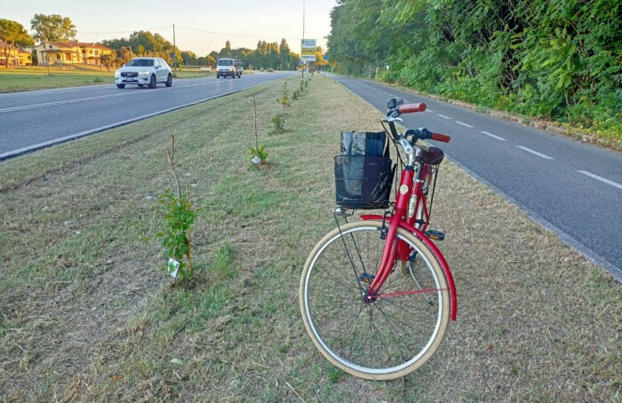 Ciclabile Arbusti