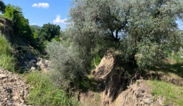 Danni Cab Terra Brisighella
