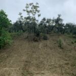 Frana Alluvione