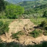 Frane Agricoltura