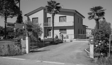 Ci proteggono i Leoni