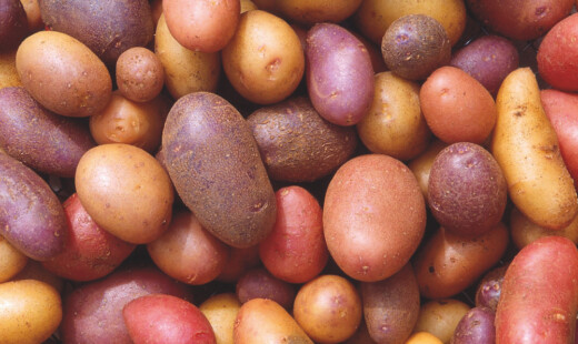 Patate Varietà