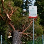 La forza del maltempo del 22 luglio su Alfonsine (foto Davide Guerrini)