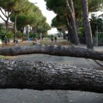 La forza del maltempo del 22 luglio su Alfonsine (foto Davide Guerrini)