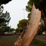 La forza del maltempo del 22 luglio su Alfonsine (foto Davide Guerrini)