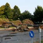 La forza del maltempo del 22 luglio su Alfonsine (foto Davide Guerrini)