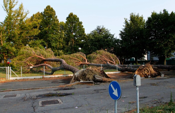 La forza del maltempo del 22 luglio su Alfonsine (foto Davide Guerrini)