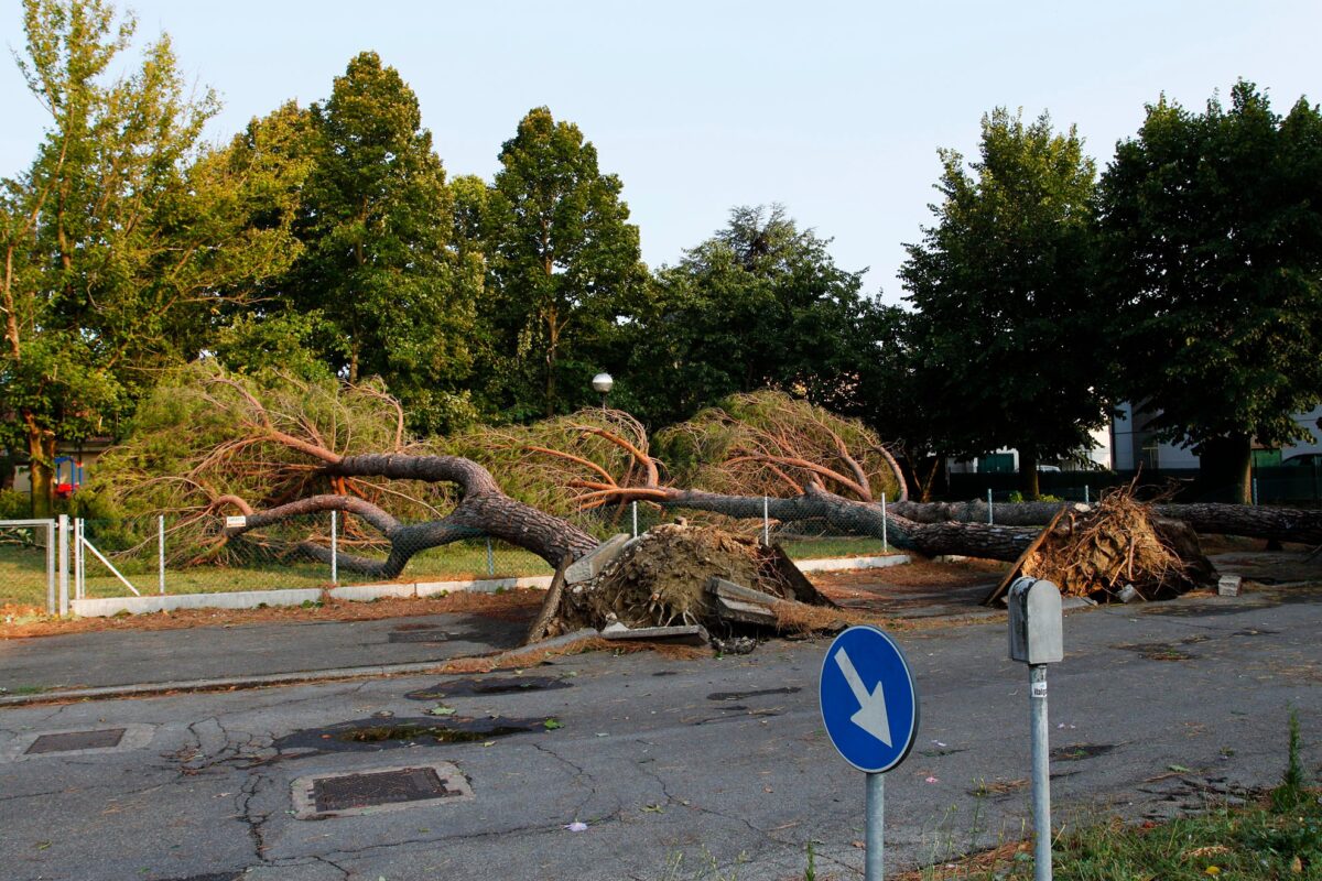 La forza del maltempo del 22 luglio su Alfonsine (foto Davide Guerrini)