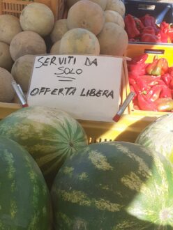 Azienda Agricola Minguzzi Offerta Libera