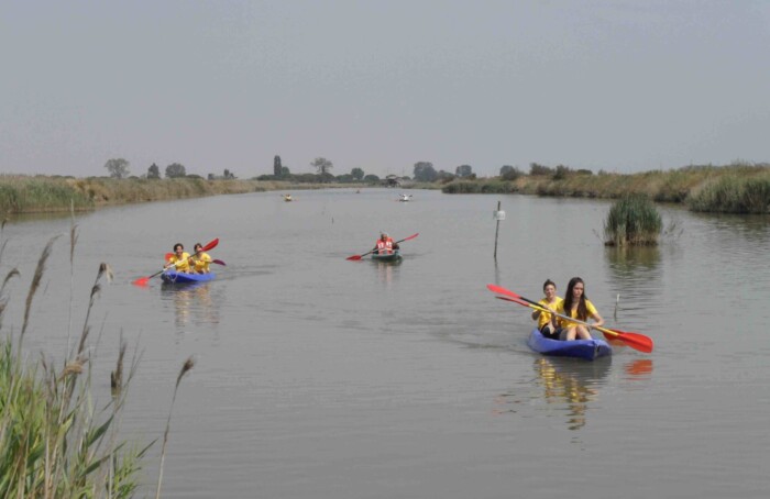 Canoe