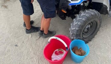 Cocco Lido Adriano
