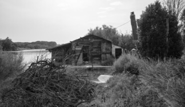 Cronache palustri