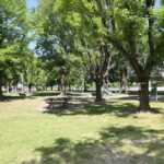 Parco Bagnacavallo