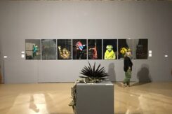 Veduta della serie degli specchi di Pistoletto sullo sfondo e un'opera di Claudio Cintoli in primo piano, collezione Ettore Mina Zattoni