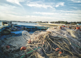 Pesca Reti Peschereccio