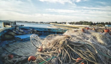 Pesca Reti Peschereccio