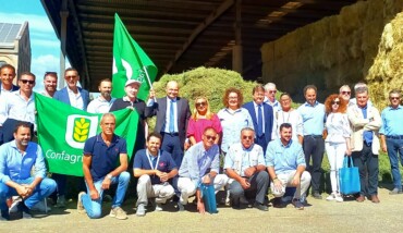 26� Edizione CANCELLI APERTI