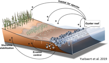 Progetto NatuReef