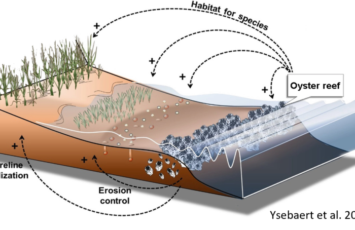 Progetto NatuReef