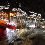 Cortina Stalatitica Buco Dei Buoi Gessi Bolognesi