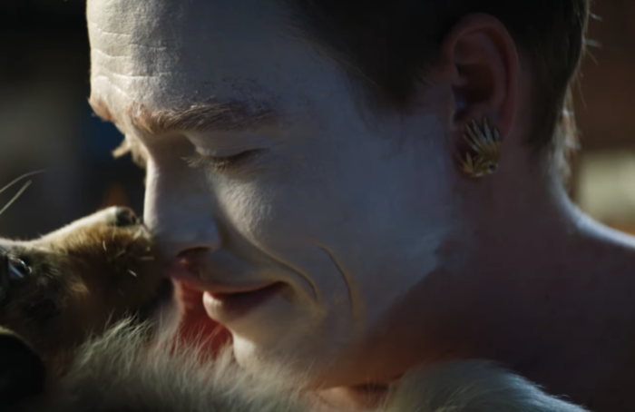 Dogman Besson Trailer