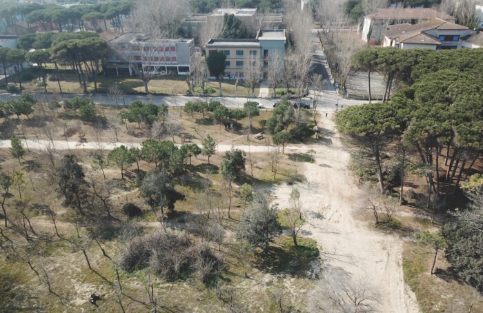 Paradies