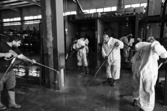 Romagna Conselice Alluvione