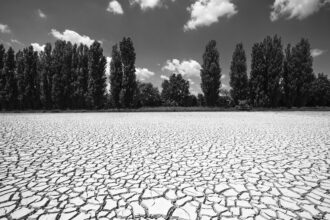 Romagna Conselice Alluvione