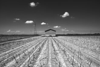 Romagna Conselice dalla via Selice Alluvione