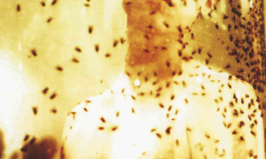 TBC Scelta Immagini