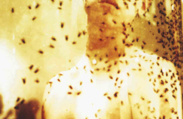 TBC Scelta Immagini