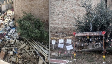 Albero Alluvionati Prima Dopo