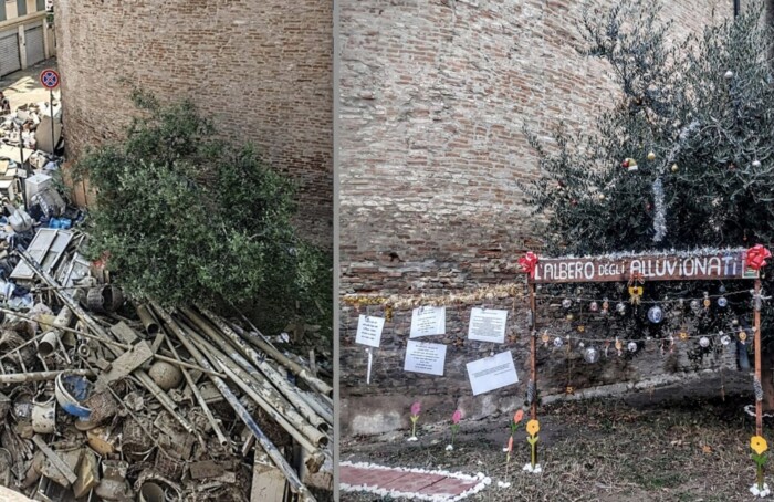Albero Alluvionati Prima Dopo