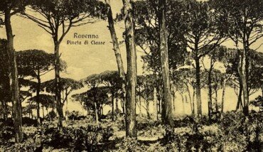 288) PINETA YRIARTE